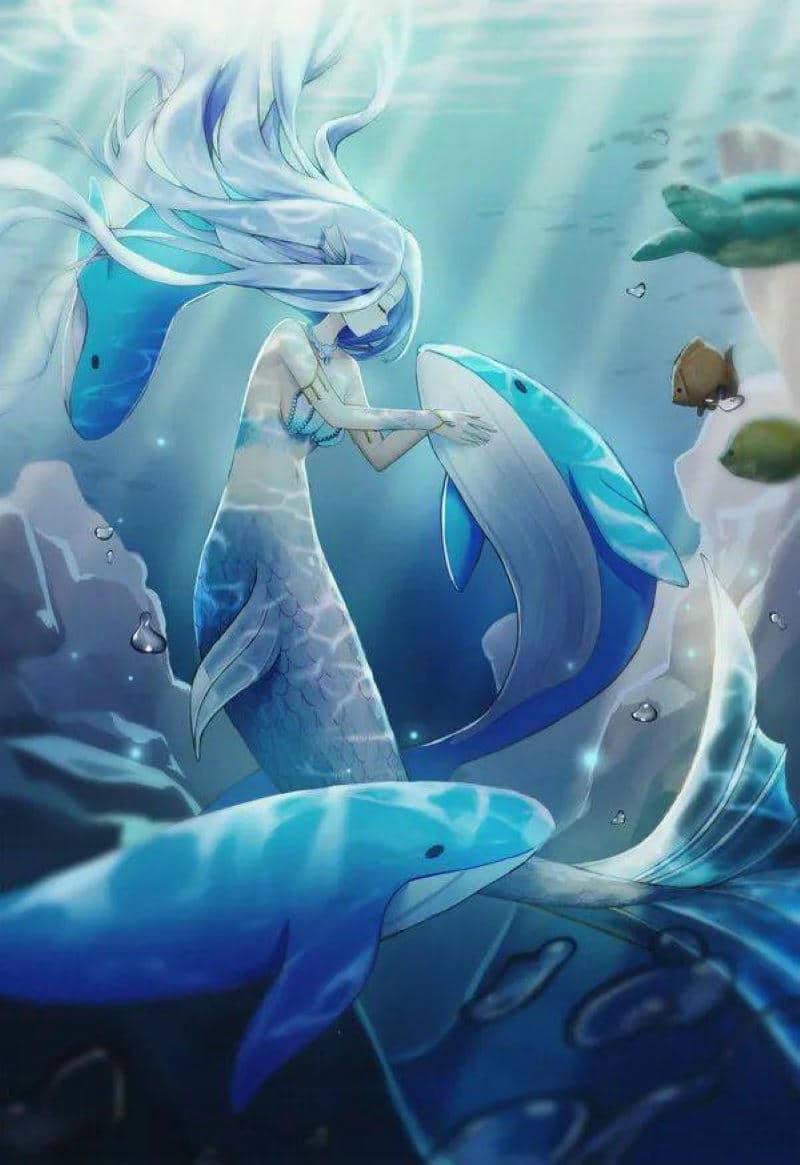 99+ Hình ảnh chibi nàng tiên cá cute, dễ thương nhất 2 ảnh đuôi nàng tiên cá