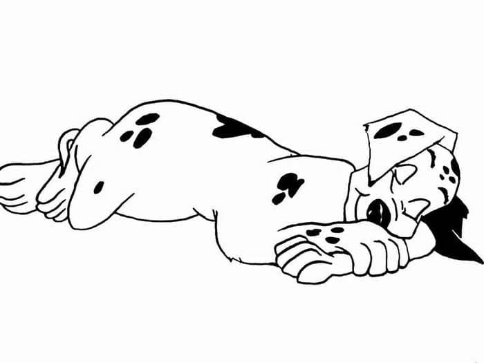 bé tập tô con vật