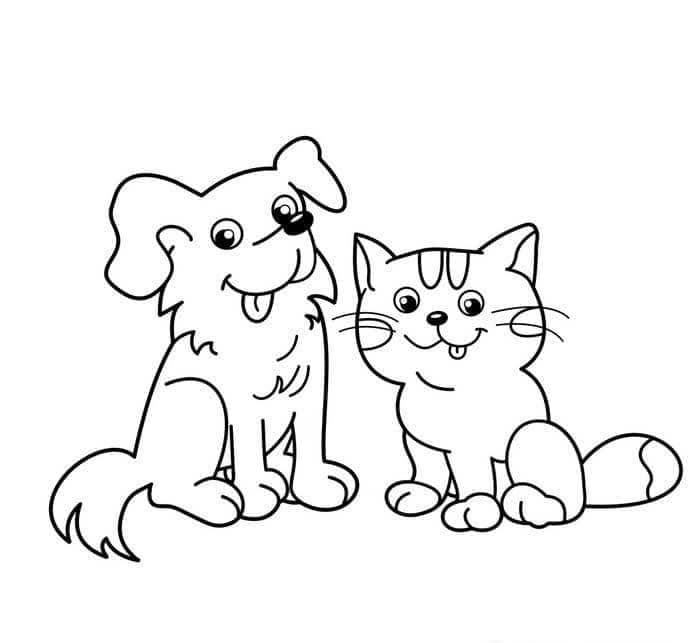 con mèo tô màu gì