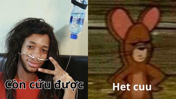 hết cứu meme