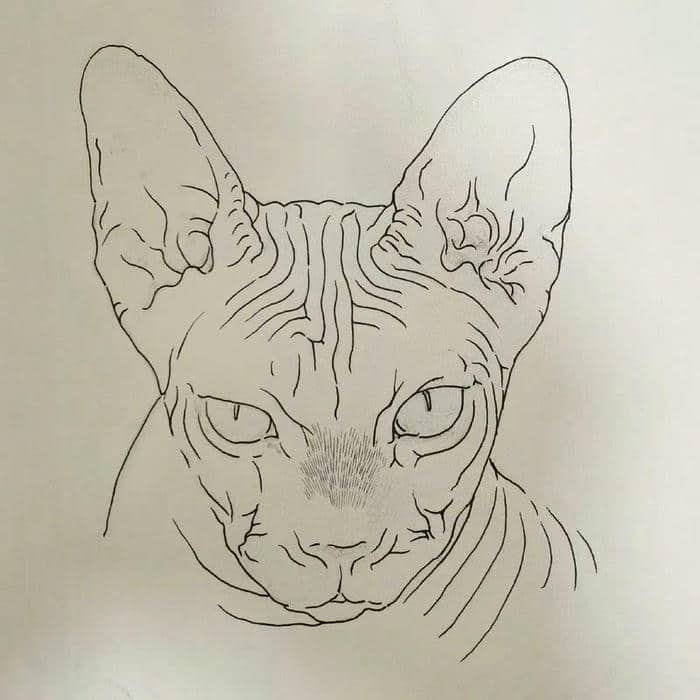 hình ảnh con vật cho bé tô màu