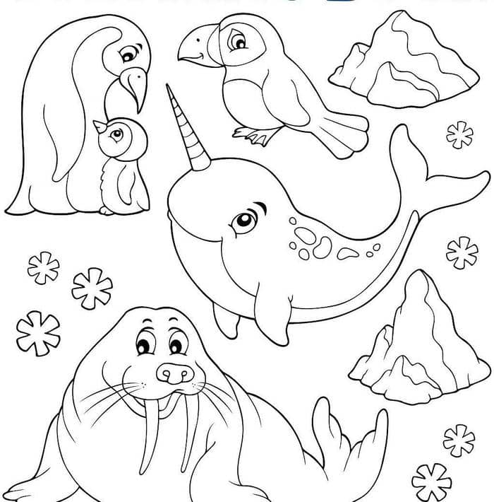 hình cho bé tô màu con vật