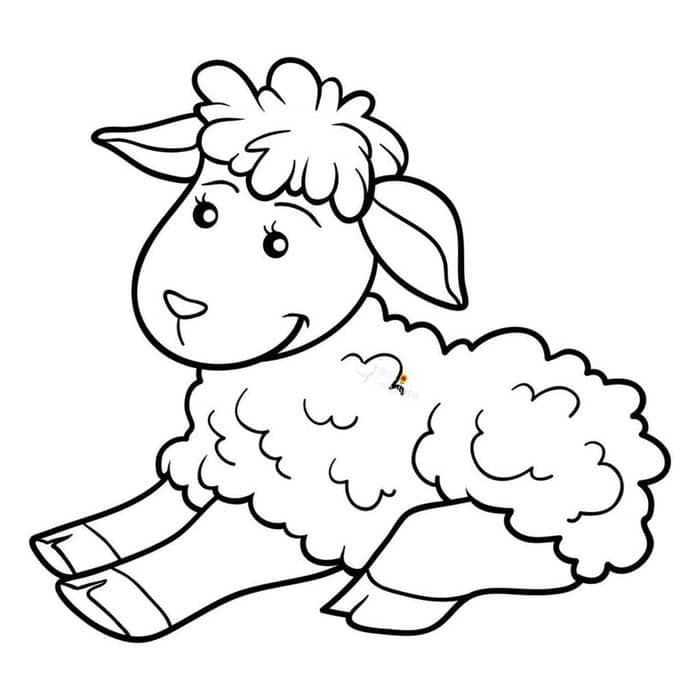 hình tô màu động vật