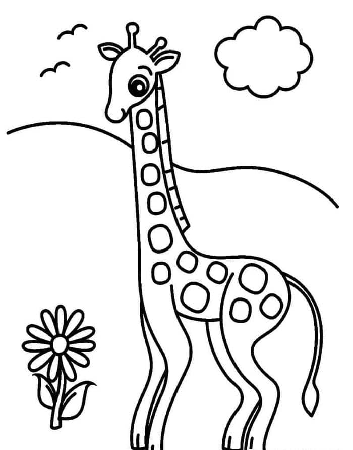 hình vẽ tô màu con vật