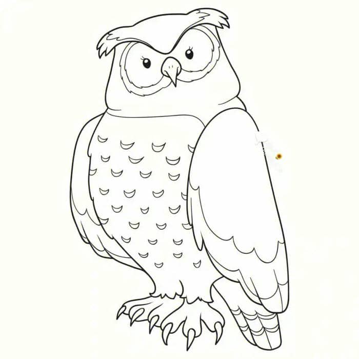 mầm non tranh tô màu con vật