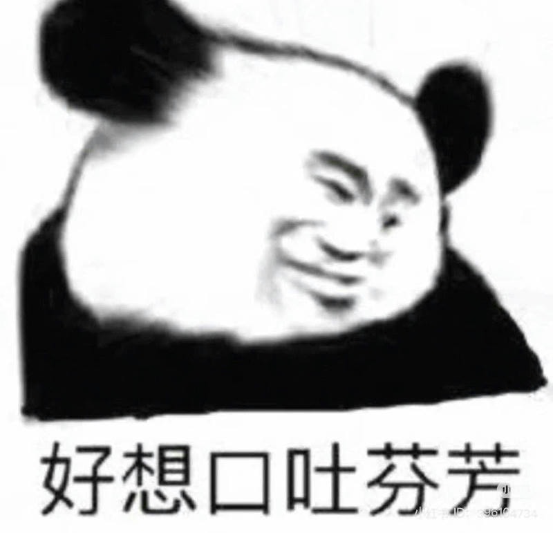 meme gấu trúc bựa cười