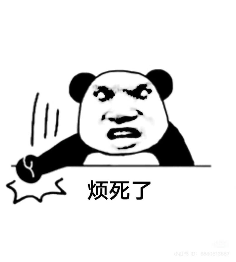 meme gấu trúc bựa đập bàn