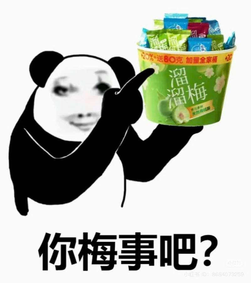 meme gấu trúc bựa đồ uống