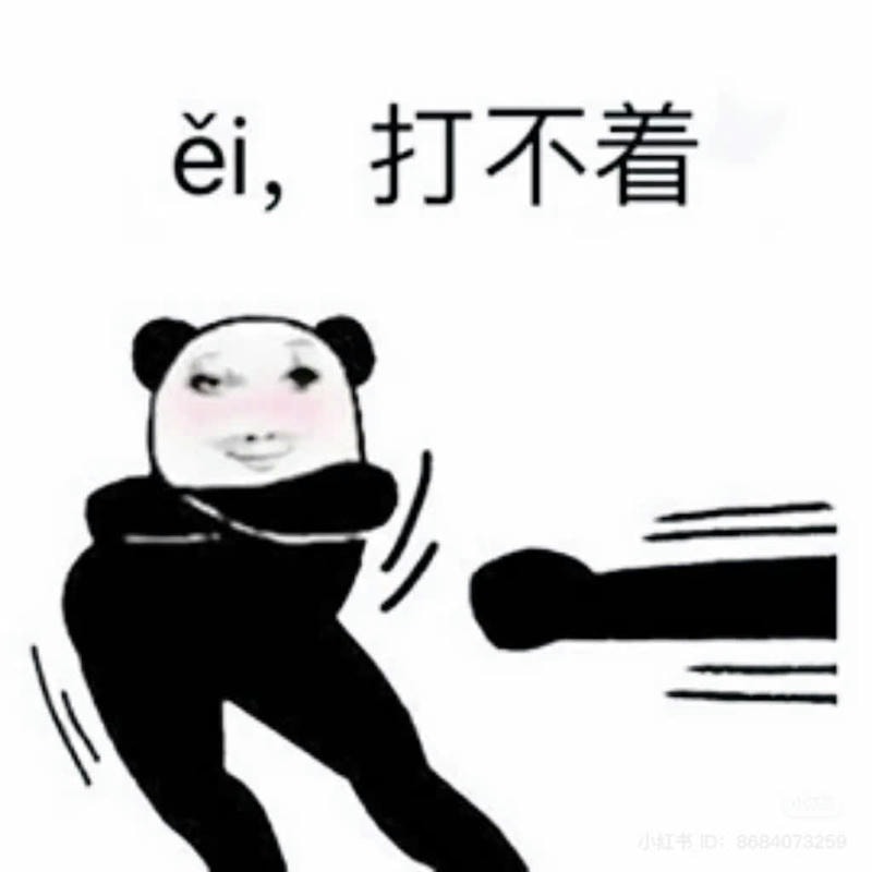 meme gấu trúc bựa hot