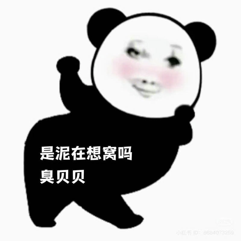 meme gấu trúc bựa lắc lư