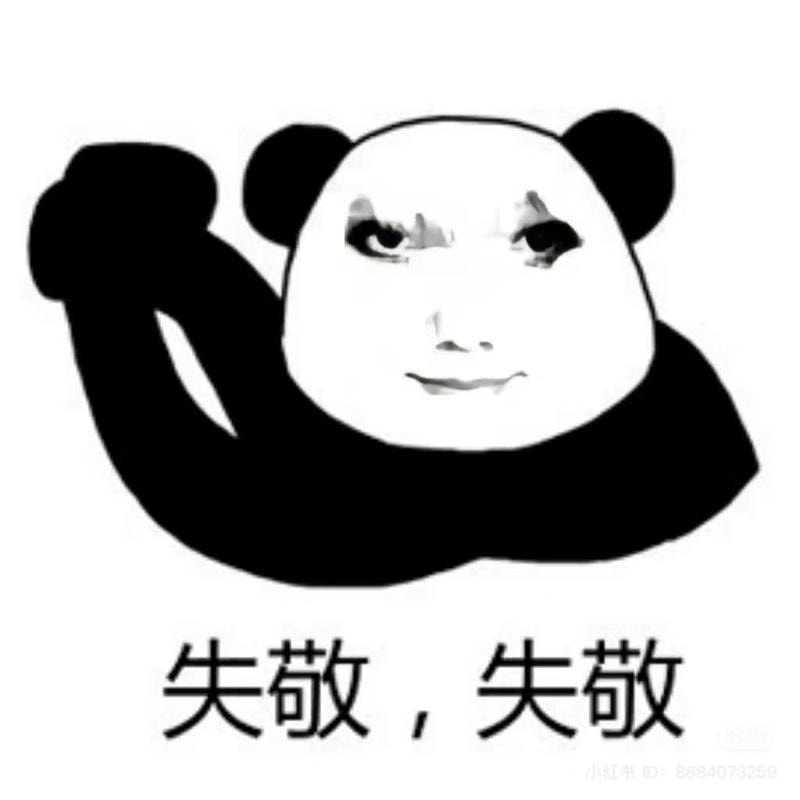 meme gấu trúc bựa nắm tay
