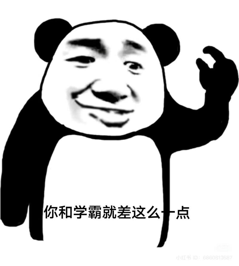 meme gấu trúc bựa nhất