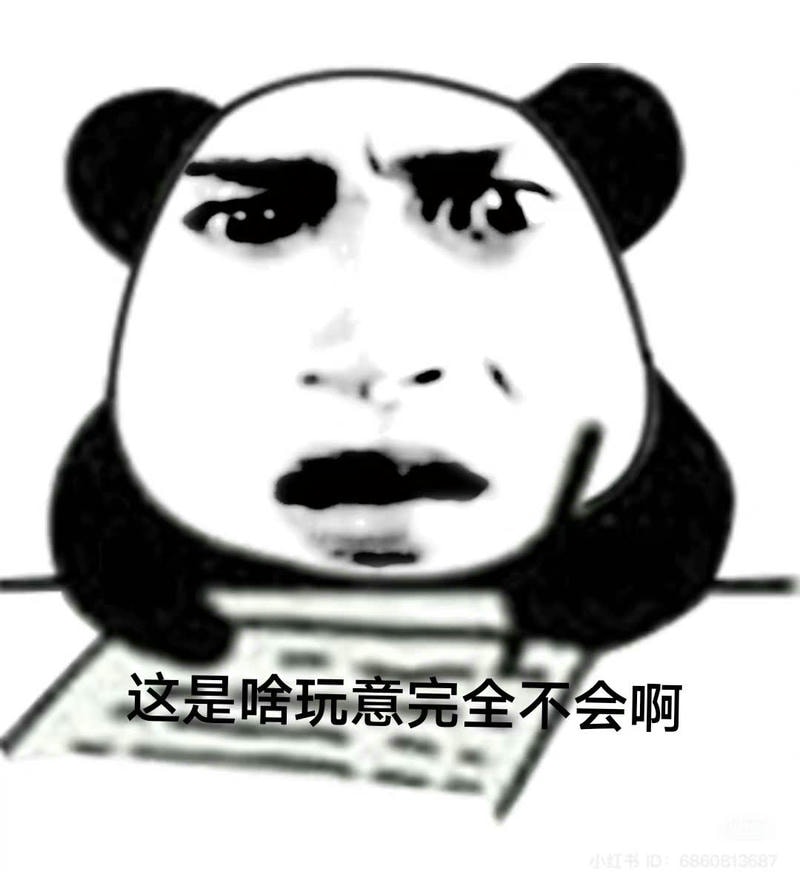 meme gấu trúc bựa viết bài