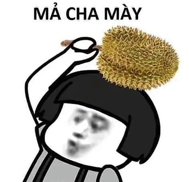 meme gấu trúc chửi tục