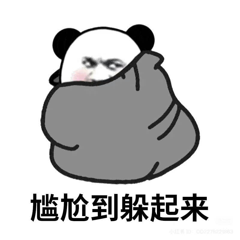 meme gấu trúc cuộn chăn