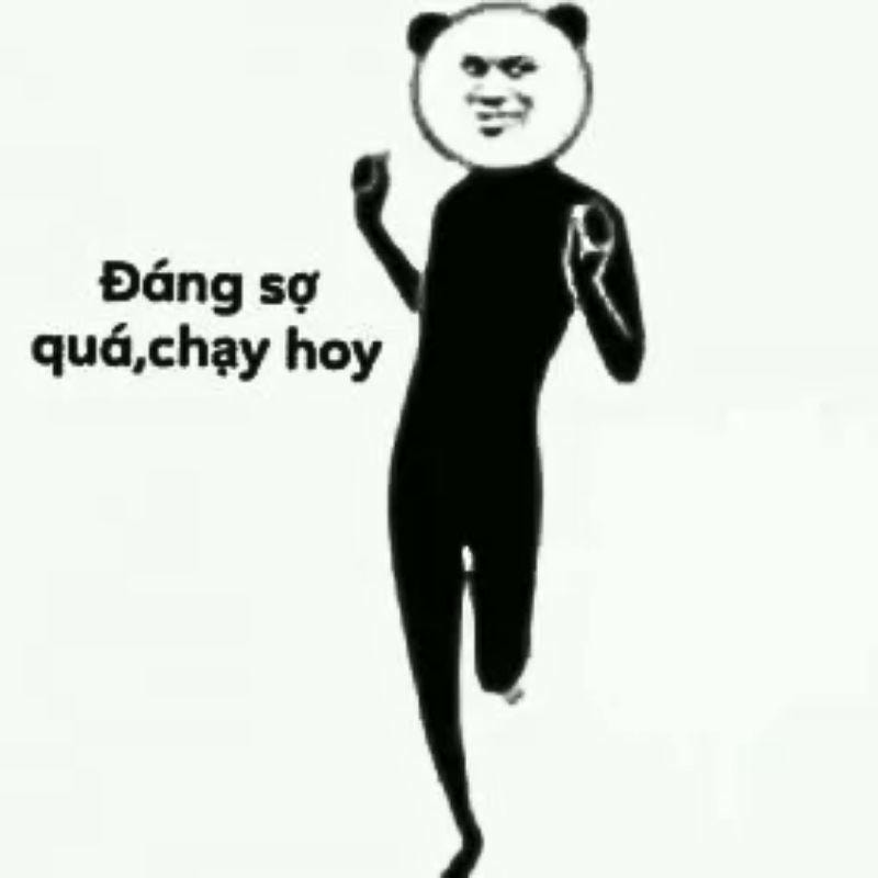 meme gấu trúc dài