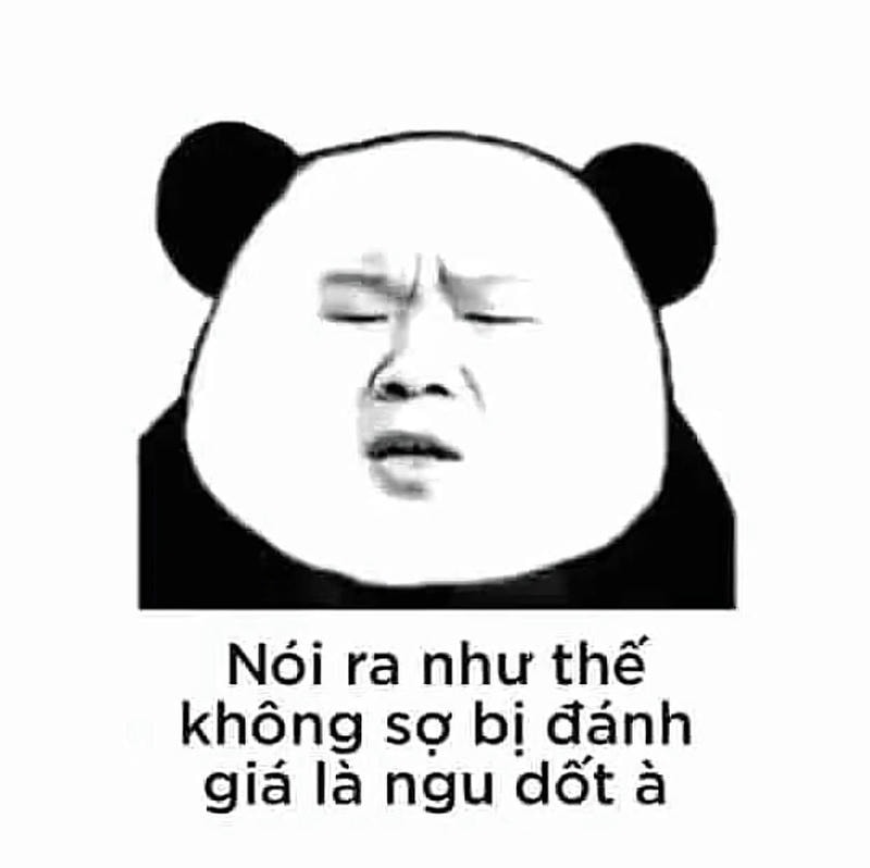 meme gấu trúc hài