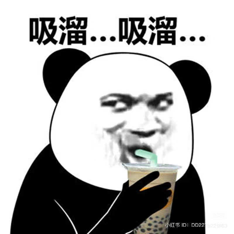 meme gấu trúc hút trà sữa