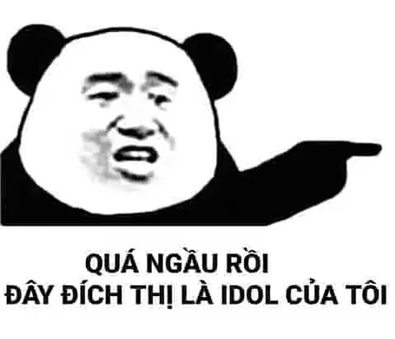 meme gấu trúc khen đểu