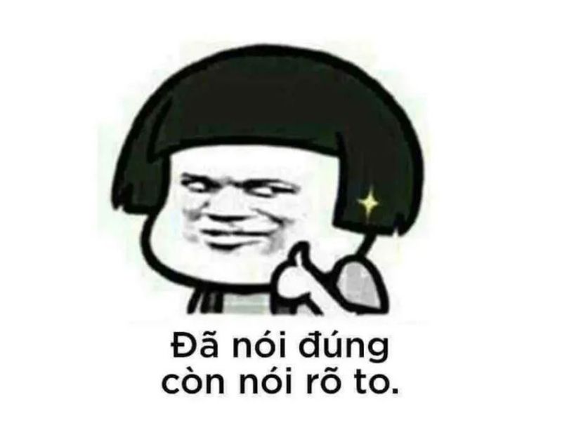 meme gấu trúc like