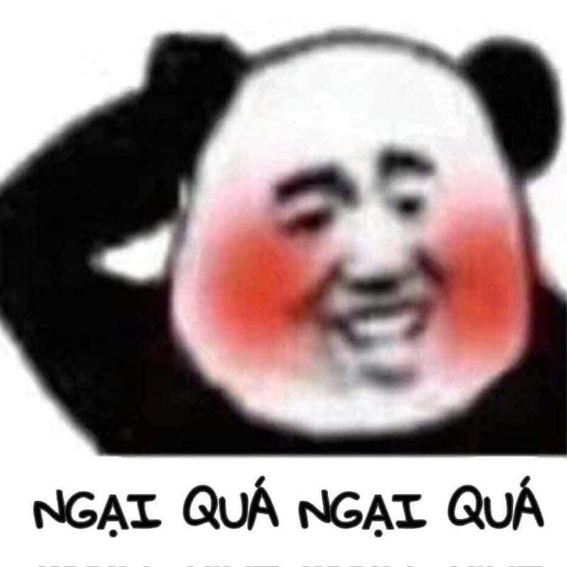 meme gấu trúc ngại ngùng