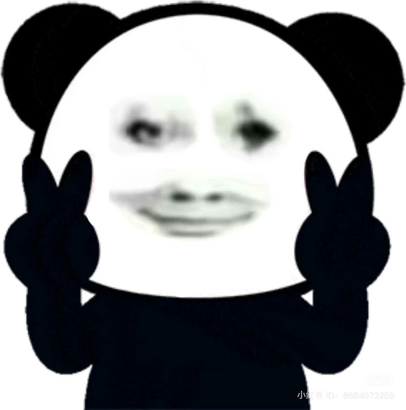 meme gấu trúc say hi