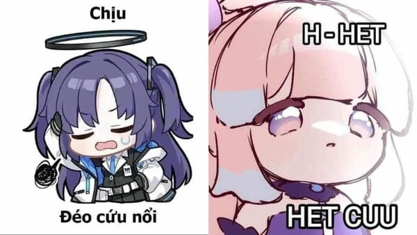 meme hết cứu anime