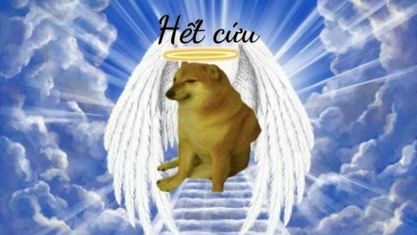 meme hết cứu chó shiba