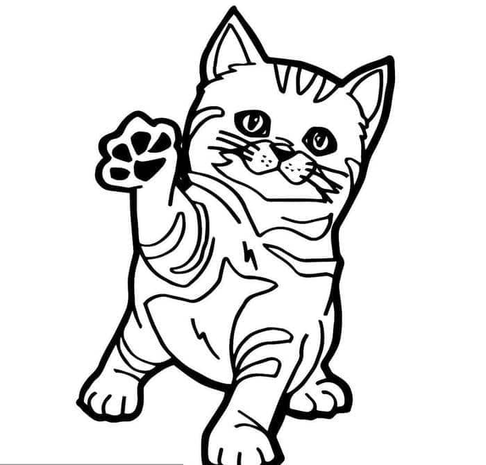 tô màu mèo con